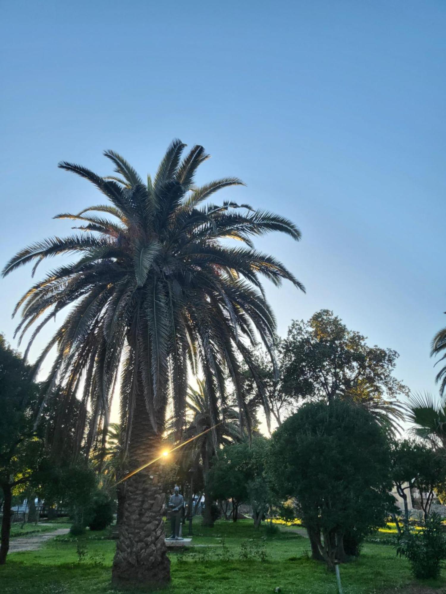 Plava Laguna Zavala Dış mekan fotoğraf